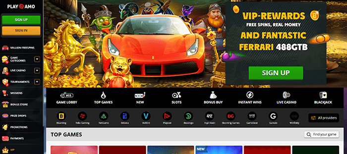 Playamo Casino withdraws money within 1-2 hours